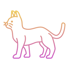 Cat 2